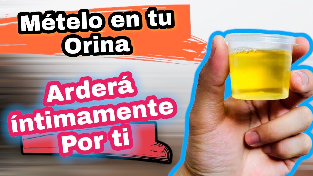 Encuentros sexuales en blanco y negro que te haran fantasear de inmediato